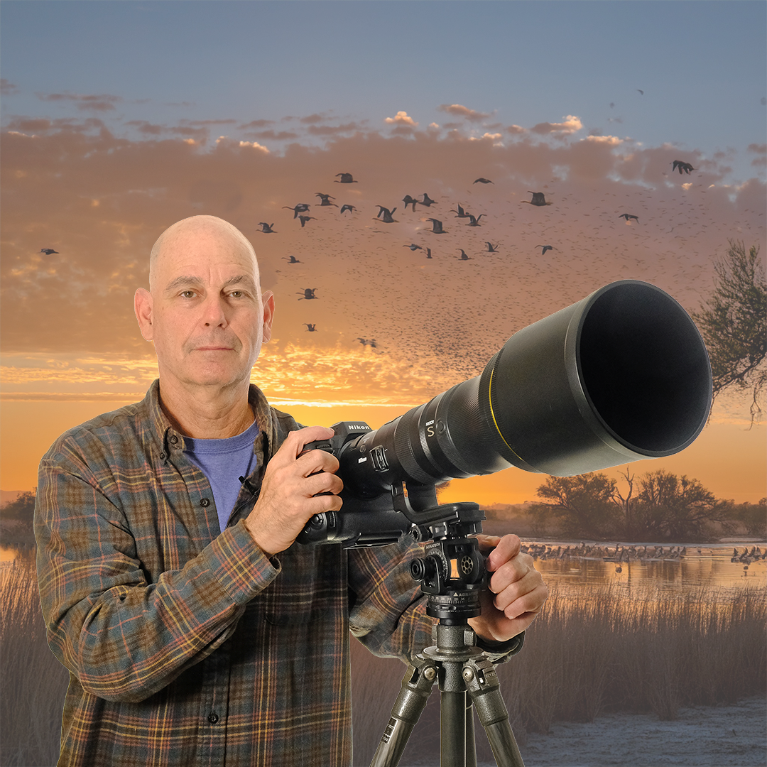 Acratech Panoramic Head supporting a 600mm f/4 lens