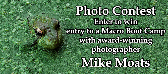 photo-contest-graphic-675x300.jpg